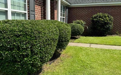 Photo of Sungeun K.'s yard after getting lawn care in Richmond Hill, GA