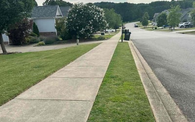 Photo of Yongsuk C.'s yard after getting lawn care in Eaton Rapids, MI
