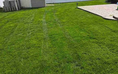 Photo of Diane S.'s yard after getting lawn care in Kingston, NY