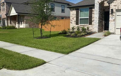 Photo of Peggy C.'s yard after getting lawn care in Galveston, TX
