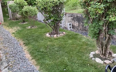 Photo of Marie A.'s yard after getting lawn care in Beverly, MA