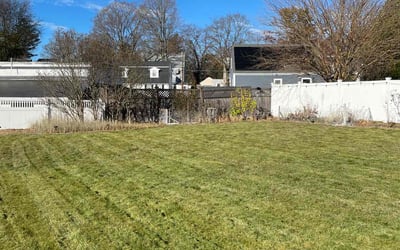 Photo of Tom S.'s yard after getting lawn care in Woburn, MA