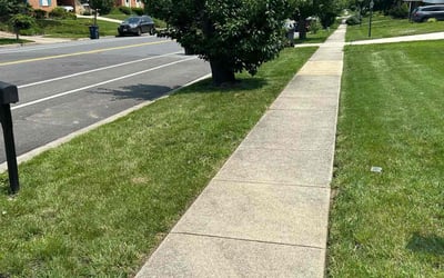 Photo of Cee C.'s yard after getting lawn care in Upper Marlboro, MD