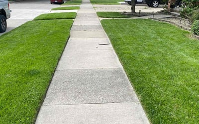 Photo of Shaun D.'s yard after getting lawn care in Flushing, MI