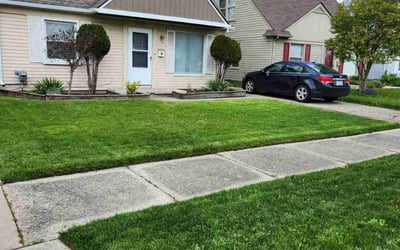 Photo of Shannon S.'s yard after getting lawn care in Eastpointe, MI