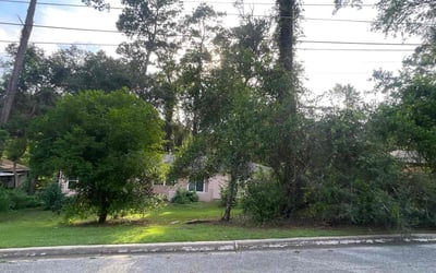 Photo of Christine R.'s yard after getting lawn care in Victorville, CA