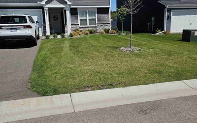 Photo of Lucretia W.'s yard after getting lawn care in Panama City, FL