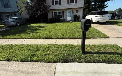 Photo of Rico C.'s yard after getting lawn care in Independence, KY