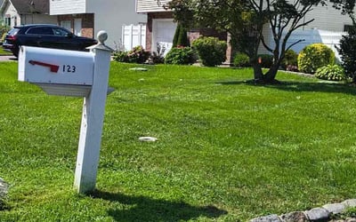 Photo of Darlene H.'s yard after getting lawn care in Kissimmee, FL