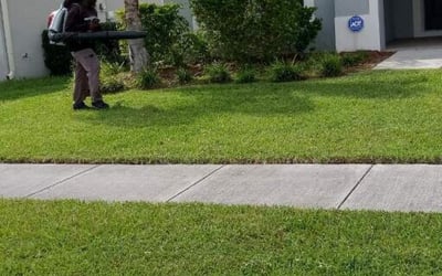 Photo of Peggy M.'s yard after getting lawn care in Kennebunk, ME