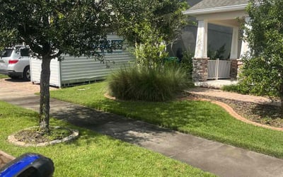Photo of Pamela A.'s yard after getting lawn care in Campbell, CA