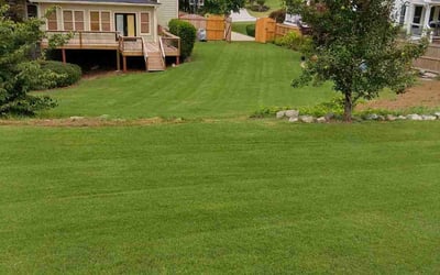 Photo of Samira P.'s yard after getting lawn care in Grayson, GA