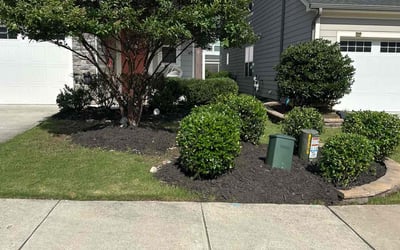 Photo of Aprill M.'s yard after getting lawn care in Temple Hills, MD