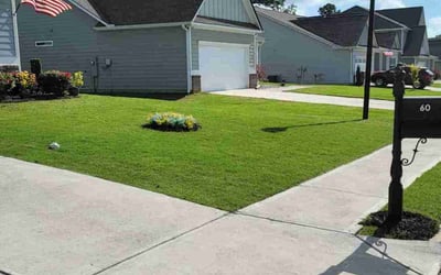 Photo of Barbara G.'s yard after getting lawn care in Cartersville, GA