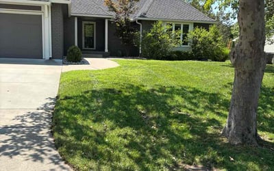 Photo of Marie I.'s yard after getting lawn care in Taunton, MA