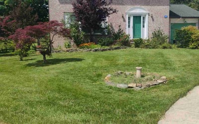 Photo of Rhonda S.'s yard after getting lawn care in Reisterstown, MD