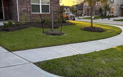 Photo of Javonica G.'s yard after getting lawn care in Sun City Center, FL