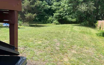 Photo of Jean C.'s yard after getting lawn care in Grayson, GA