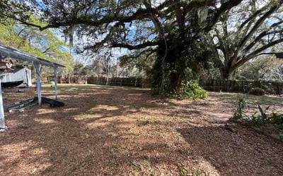 Photo of Mia F.'s yard after getting lawn care in Patterson, CA