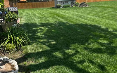 Photo of Ferah K.'s yard after getting lawn care in Toms River, NJ