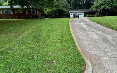 Photo of Terence J.'s yard after getting lawn care in Sayreville, NJ