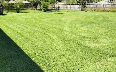 Photo of Amy H.'s yard after getting lawn care in Alvin, TX