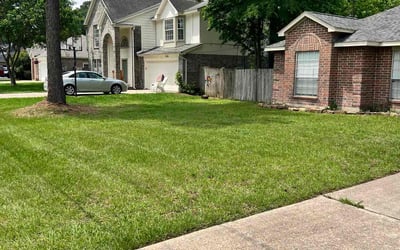 Photo of Richard F.'s yard after getting lawn care in Texas City, TX