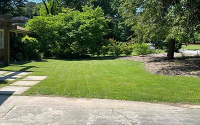 Photo of John D.'s yard after getting lawn care in Bowling Green, KY