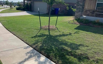 Photo of Jennifer W.'s yard after getting lawn care in Sapulpa, OK