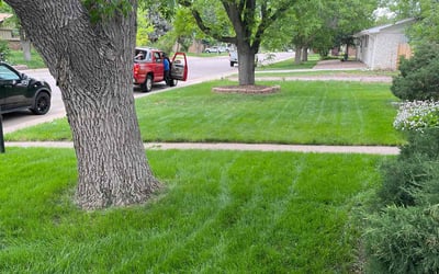 Photo of Delilah T.'s yard after getting lawn care in Savage, MN