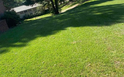 Photo of Lillian A.'s yard after getting lawn care in Pell City, AL