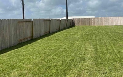 Photo of John M.'s yard after getting lawn care in Richmond, CA