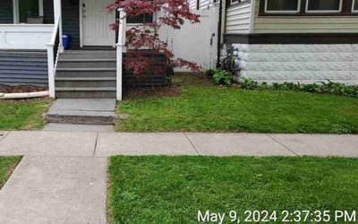 Photo of Jamal A.'s yard after getting lawn care in North Tonawanda, NY