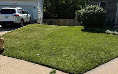 Photo of Dawn B.'s yard after getting lawn care in Jacksonville, FL