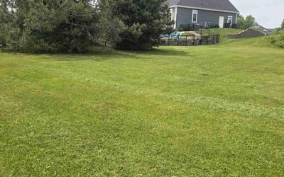 Photo of Van N.'s yard after getting lawn care in Lake Charles, LA