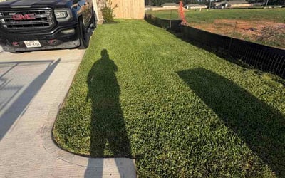 Photo of Debbie R.'s yard after getting lawn care in Trinity, NC