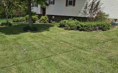 Photo of Roy S.'s yard after getting lawn care in Downers Grove, IL