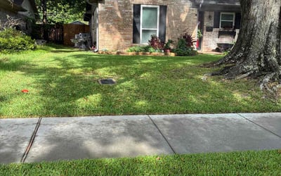 Photo of Maryann M.'s yard after getting lawn care in Nutley, NJ