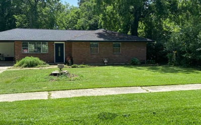 Photo of Denise T.'s yard after getting lawn care in Fairhope, AL