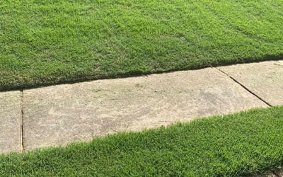 Photo of Hilyer I.'s yard after getting lawn care in Birmingham, AL