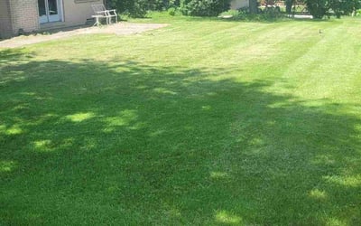 Photo of Nia S.'s yard after getting lawn care in Grafton, WI