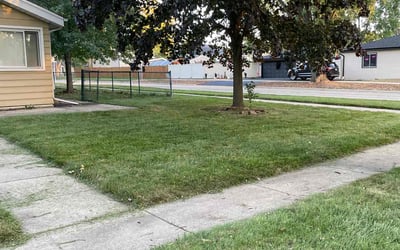 Photo of Nicole U.'s yard after getting lawn care in Villa Park, IL