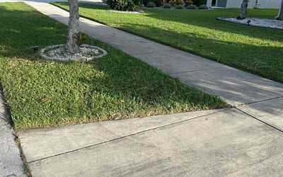 Photo of Christine L.'s yard after getting lawn care in Voorhees, NJ