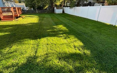 Photo of Jake H.'s yard after getting lawn care in Brunswick, MD