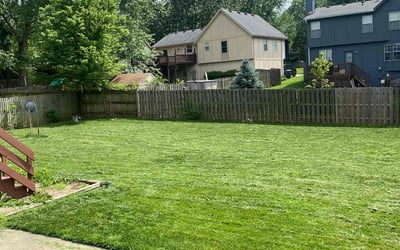 Photo of May L.'s yard after getting lawn care in Olathe, KS
