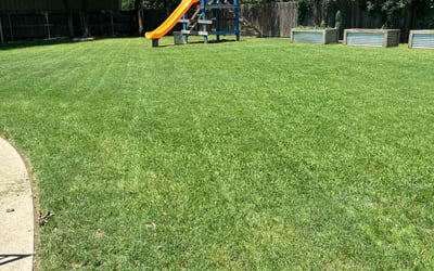 Photo of Edward F.'s yard after getting lawn care in Lodi, NJ
