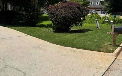 Photo of Jeanine R.'s yard after getting lawn care in Marrero, LA