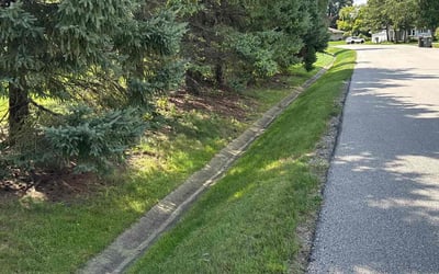 Photo of Niyah M.'s yard after getting lawn care in Kutztown, PA