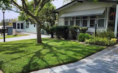 Photo of Mathew G.'s yard after getting lawn care in Lady Lake, FL