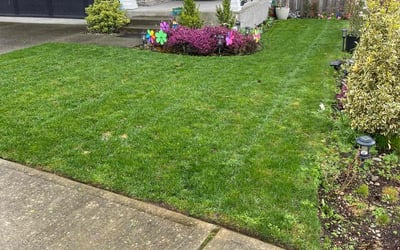 Photo of Jason S.'s yard after getting lawn care in Maple Valley, WA